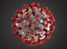 banner_coronavirus-220x162